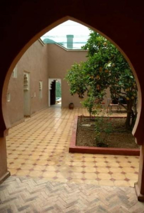 RIAD AMINE